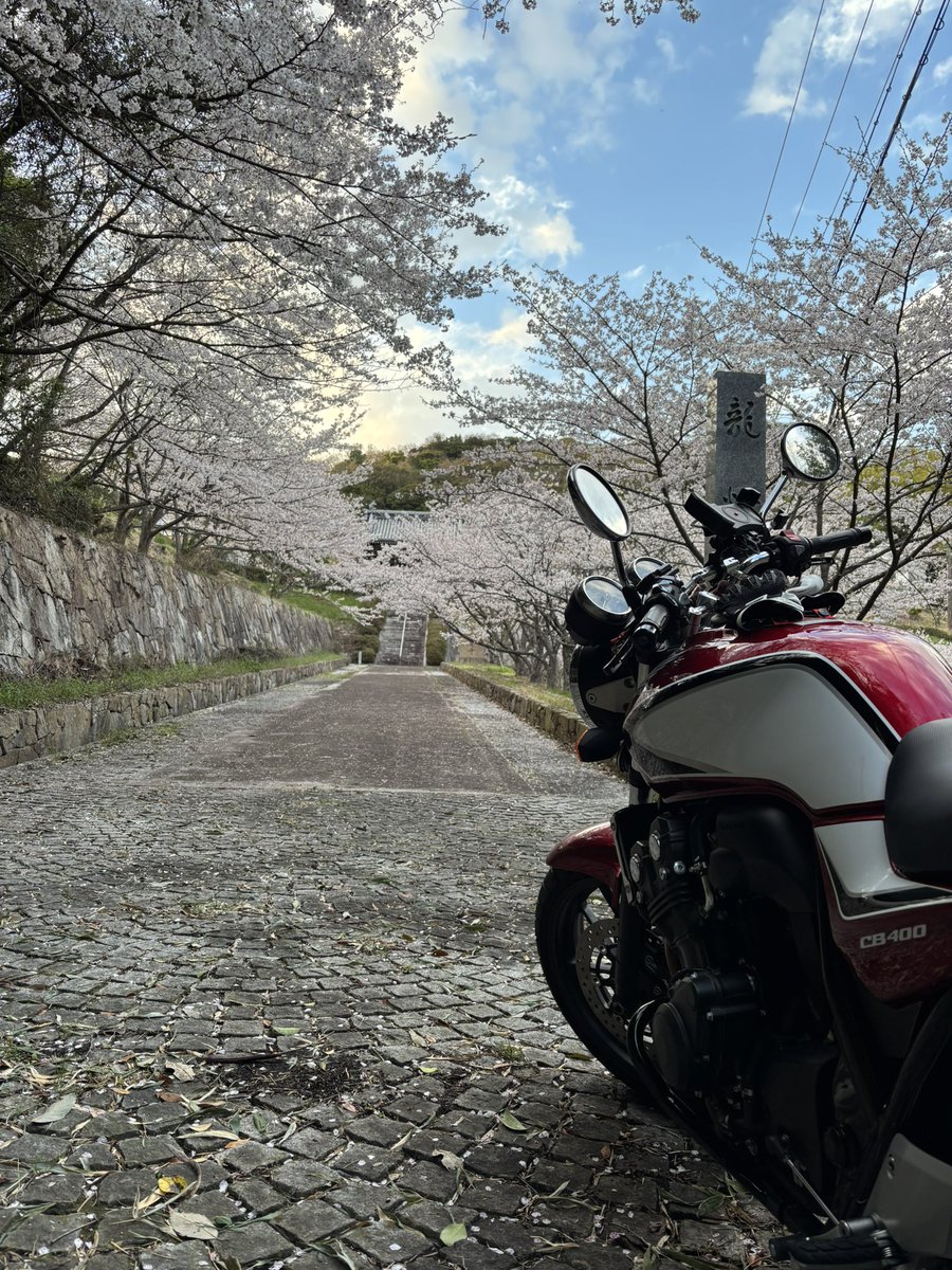 ぼっちk@淡路島 tweet media