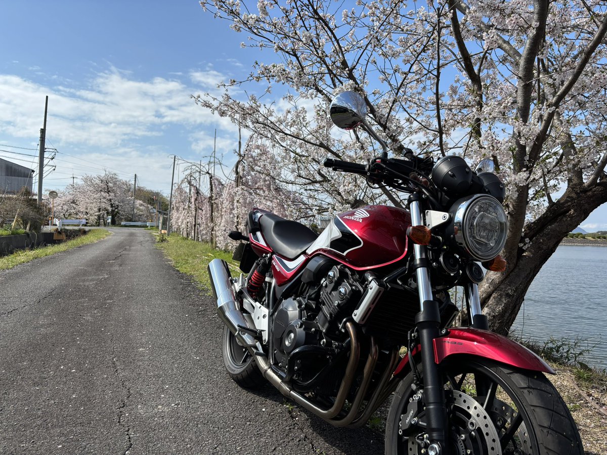 ぼっちk@淡路島 tweet media