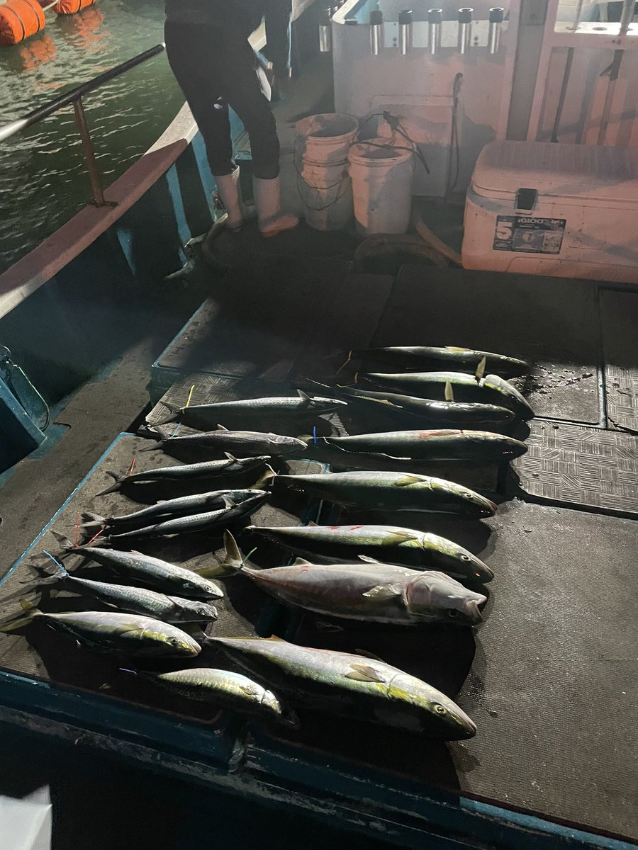 コータ@淀川 tweet media