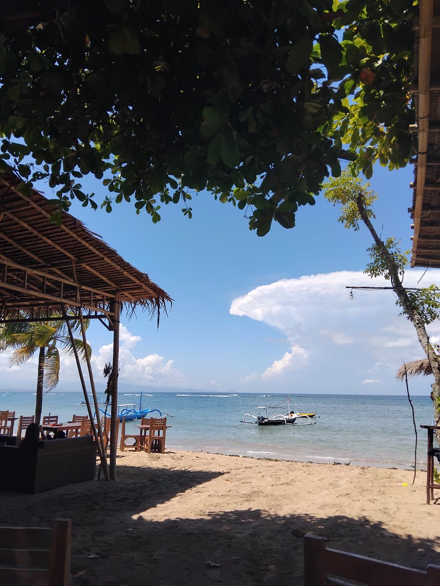 rara/dewi 🐠🍤 tweet media