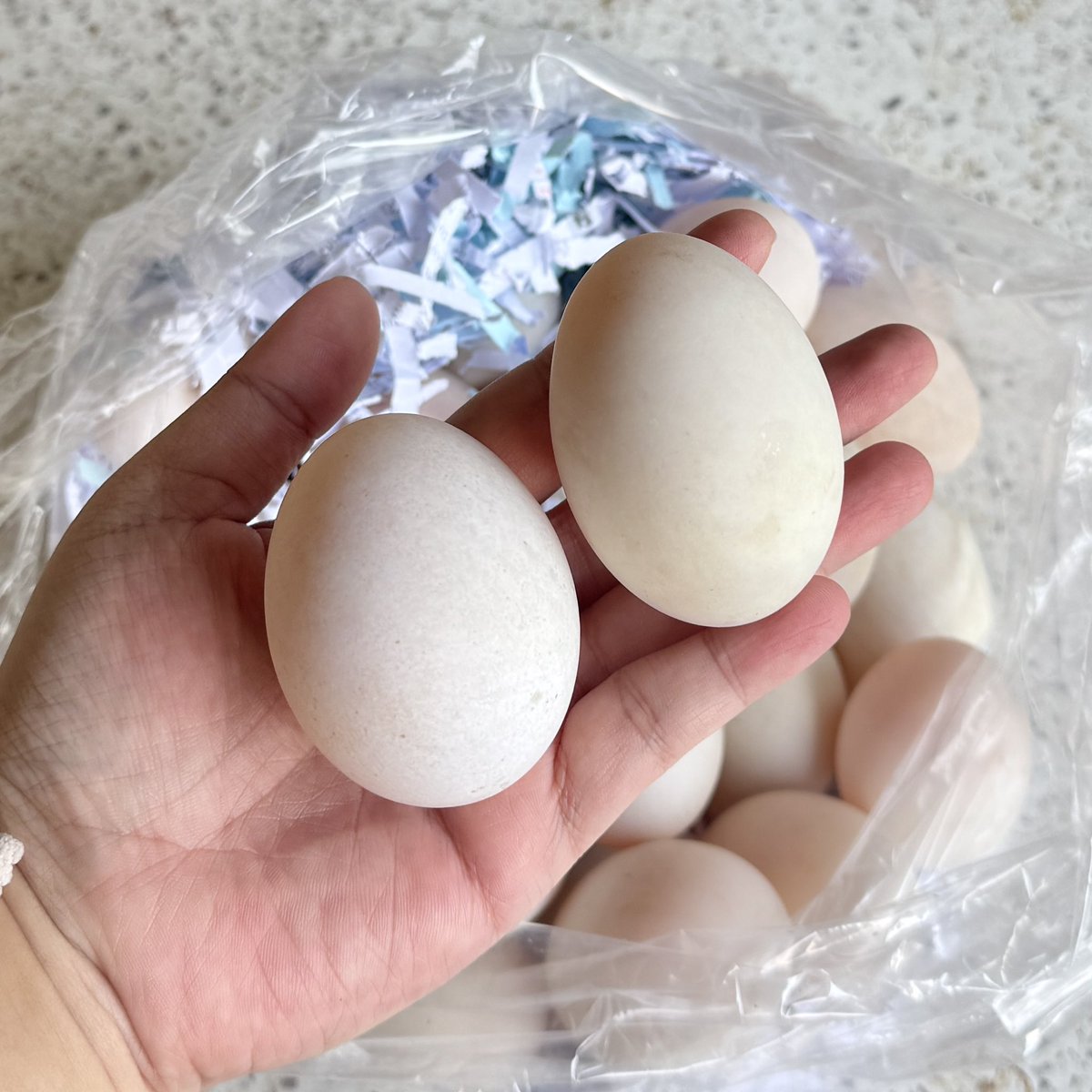 พักรบ🍃 tweet media