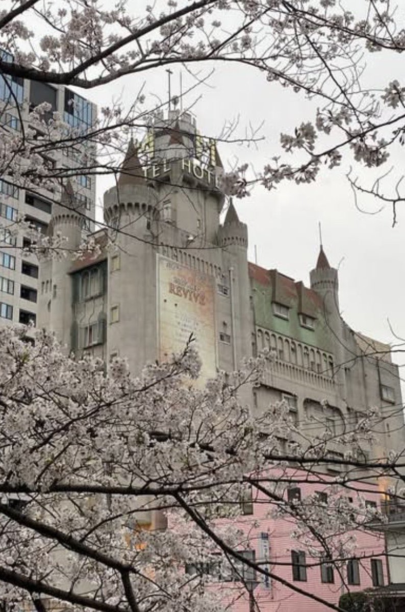 テンガリオン tweet media