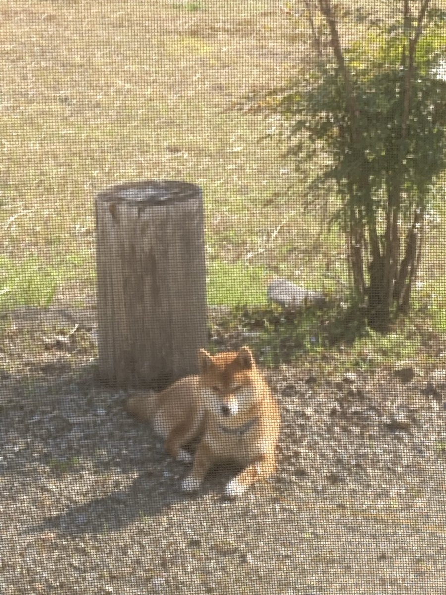 ちぃ@🩵💚 tweet media