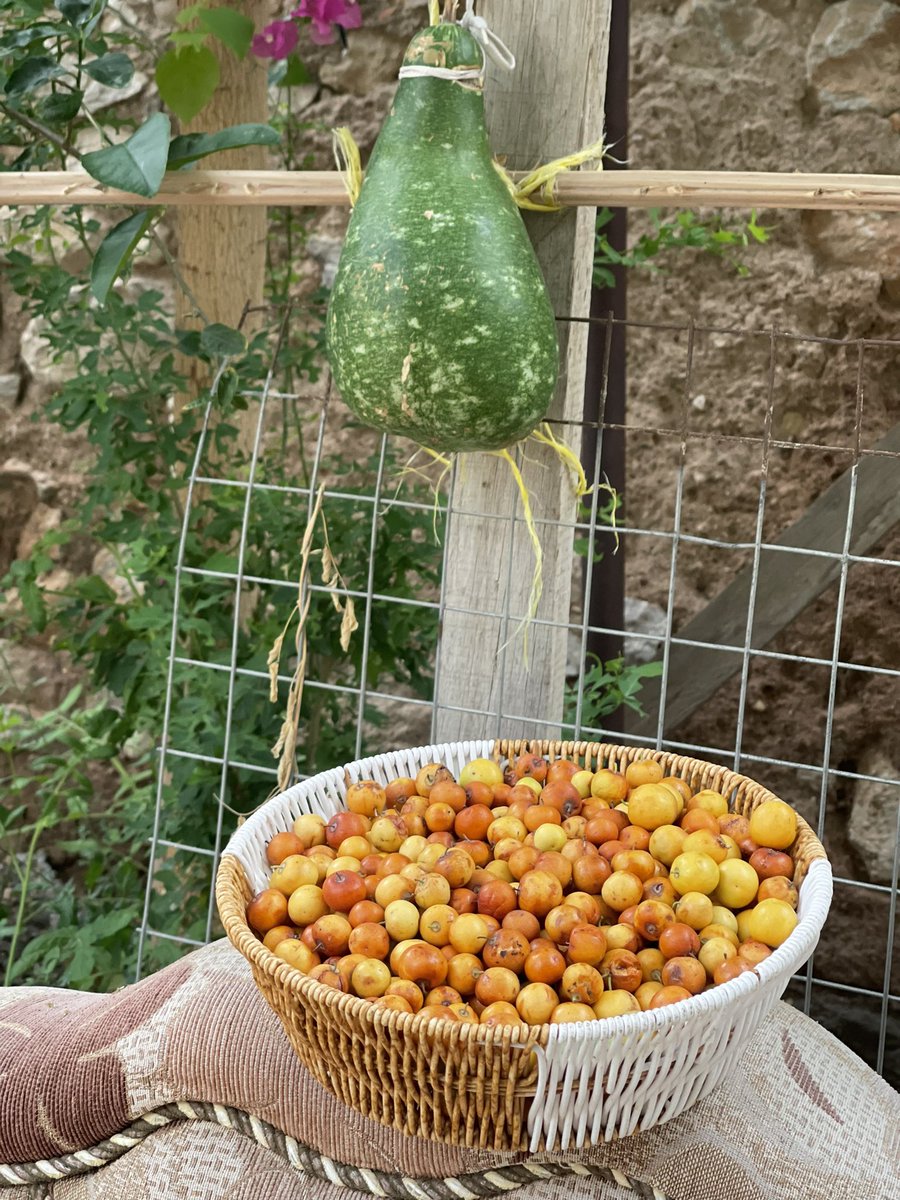 سامية بنت أحمد tweet media