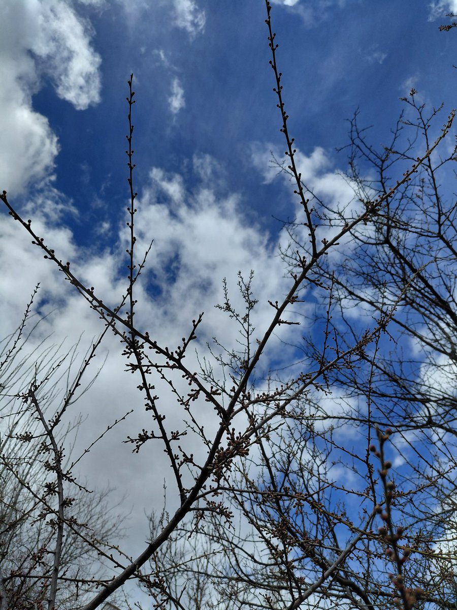 Yaşam, tatlı bir telaş...