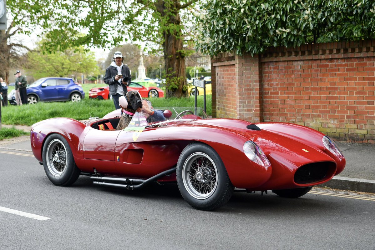 𝔻𝕒𝕟𝕚𝕖𝕝 𝔹𝕖𝕧𝕚𝕤 tweet media