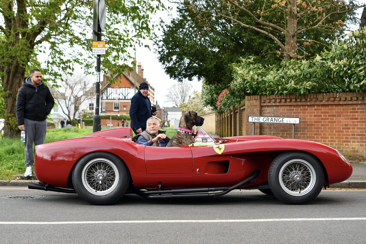 𝔻𝕒𝕟𝕚𝕖𝕝 𝔹𝕖𝕧𝕚𝕤 tweet media