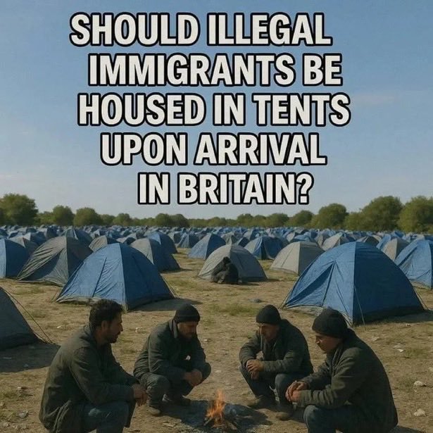 aileen B 🇬🇧🏴󠁧󠁢󠁥󠁮󠁧󠁿 tweet media