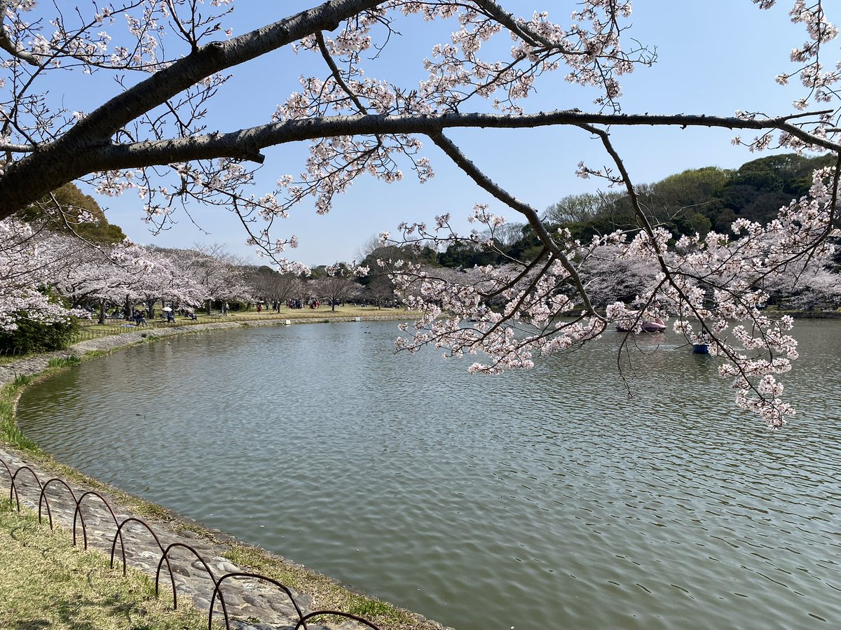 Jonathan Hiro tweet media