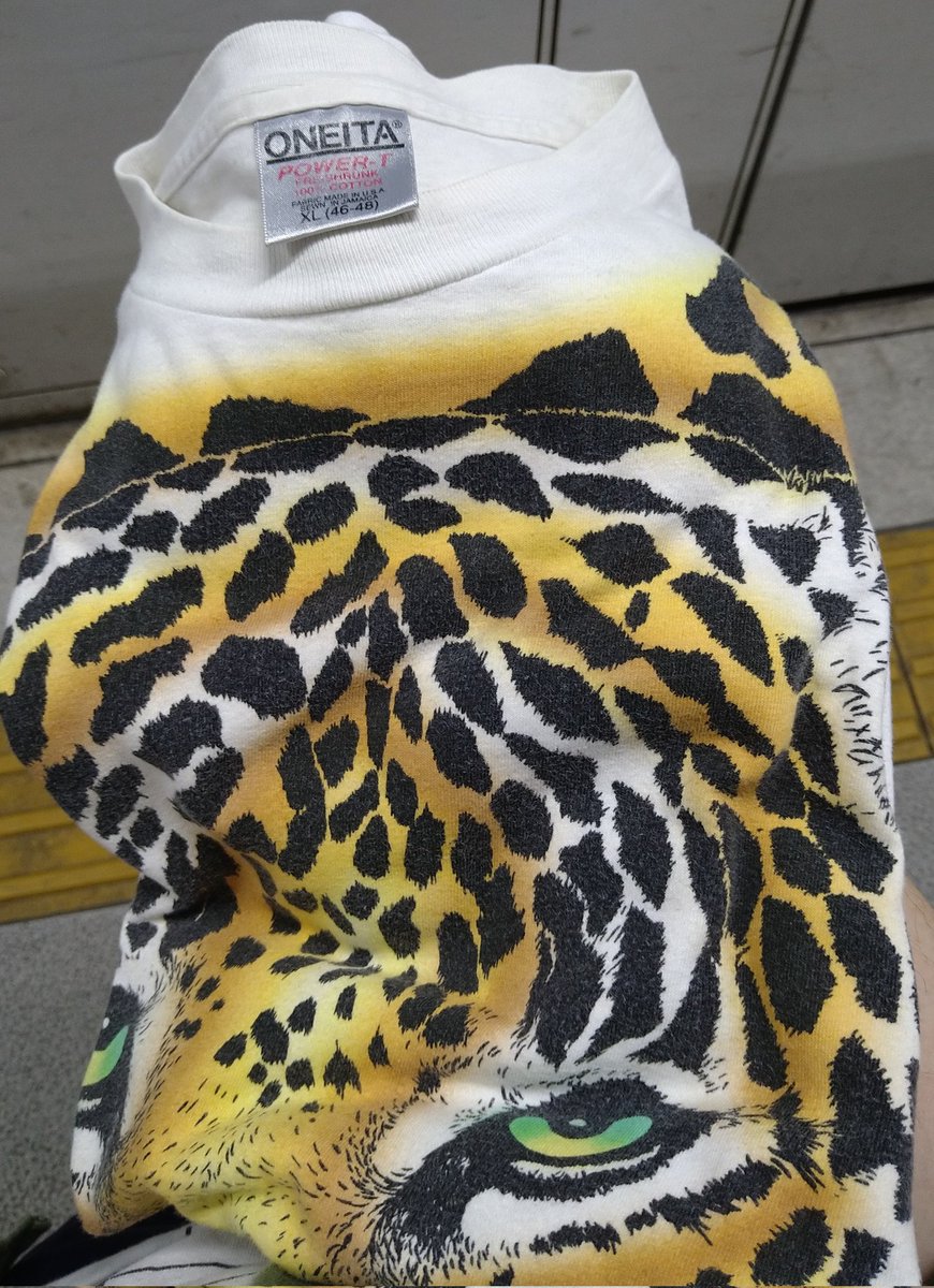 かずや(ポケットかずやネット) tweet media