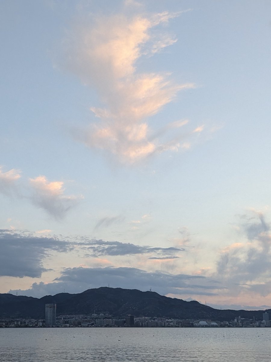 regza8583 tweet media