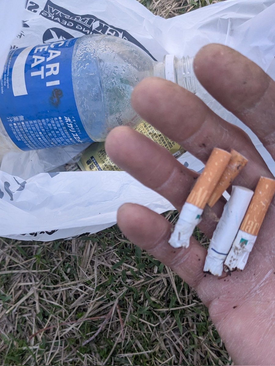 regza8583 tweet media