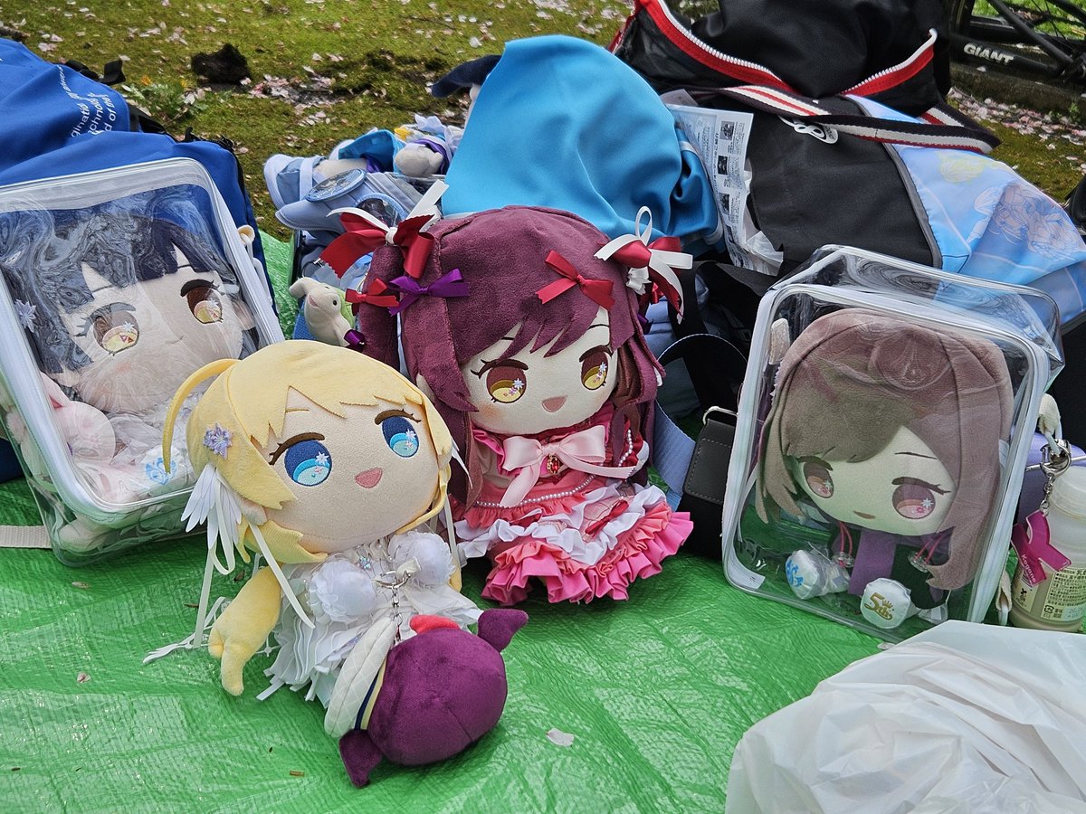 くすつ@小鳥のごはんやさん tweet media