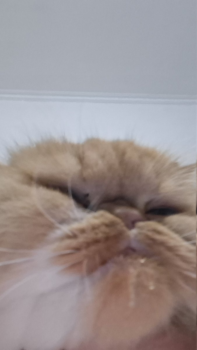 dd moyn😗😠nattaca👻🐴 tweet media