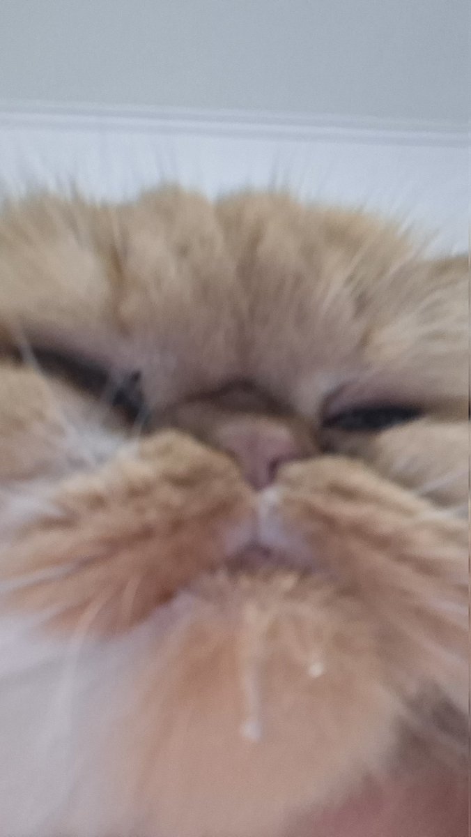 dd moyn😗😠nattaca👻🐴 tweet media