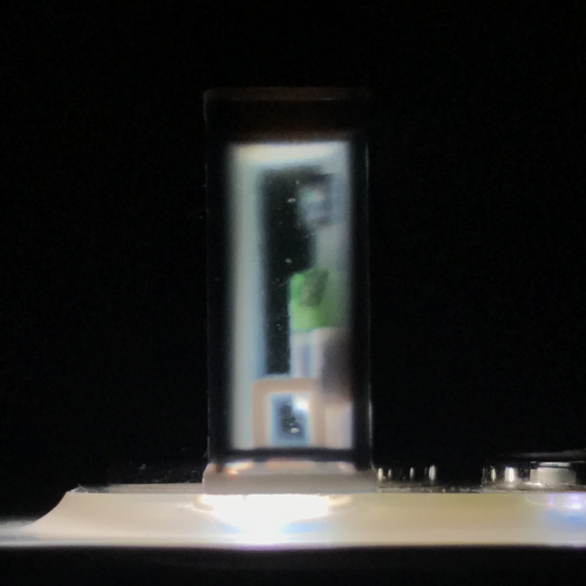 すずめ模型 tweet media