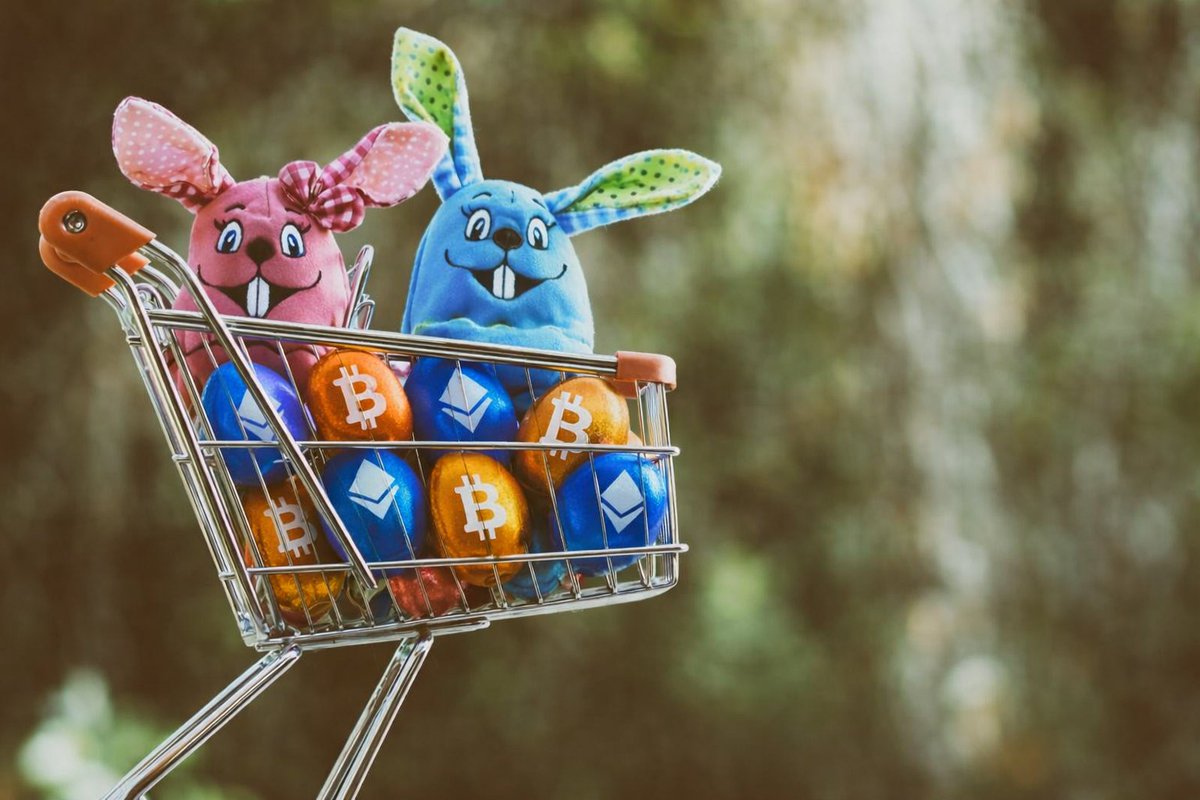 Crypto Altruista 🃏 tweet media