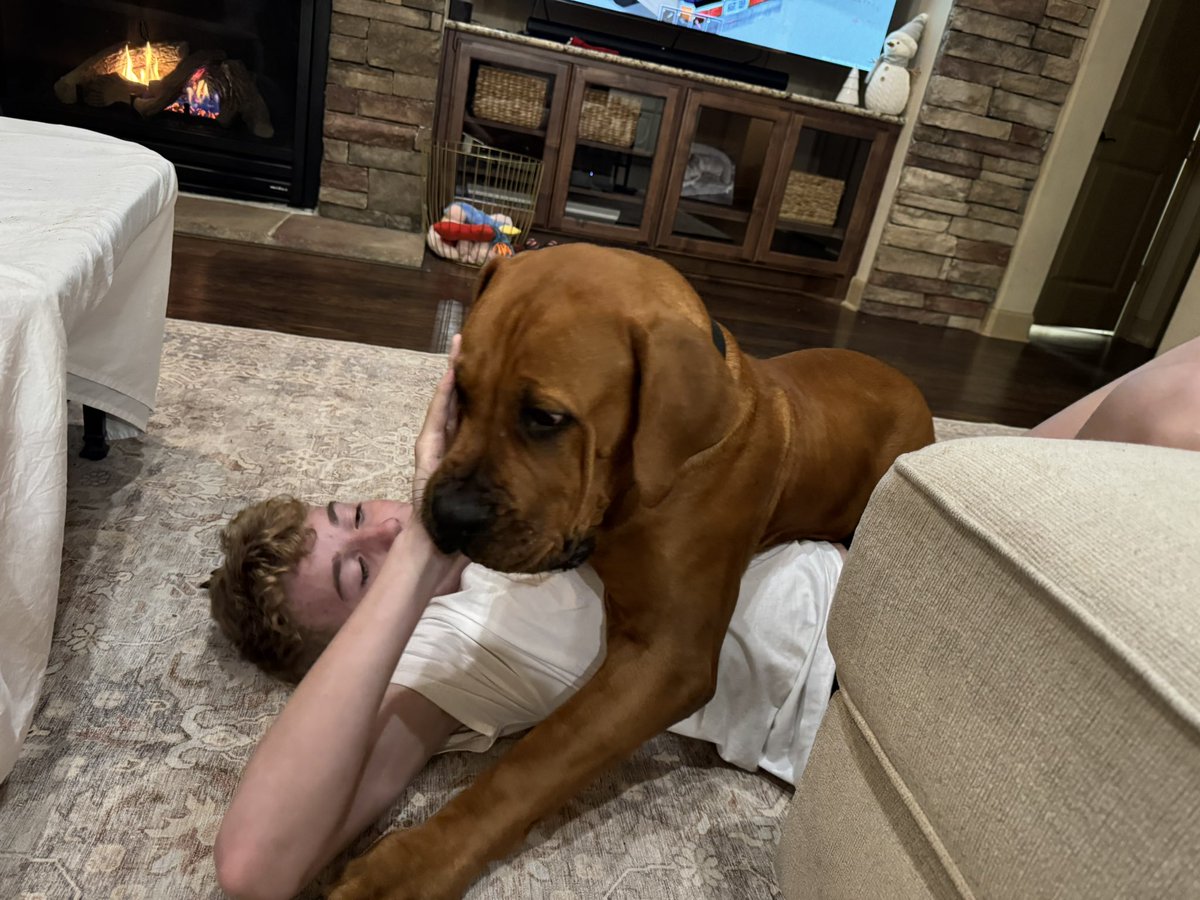 Peter "#LUKSO" 🆙 tweet media