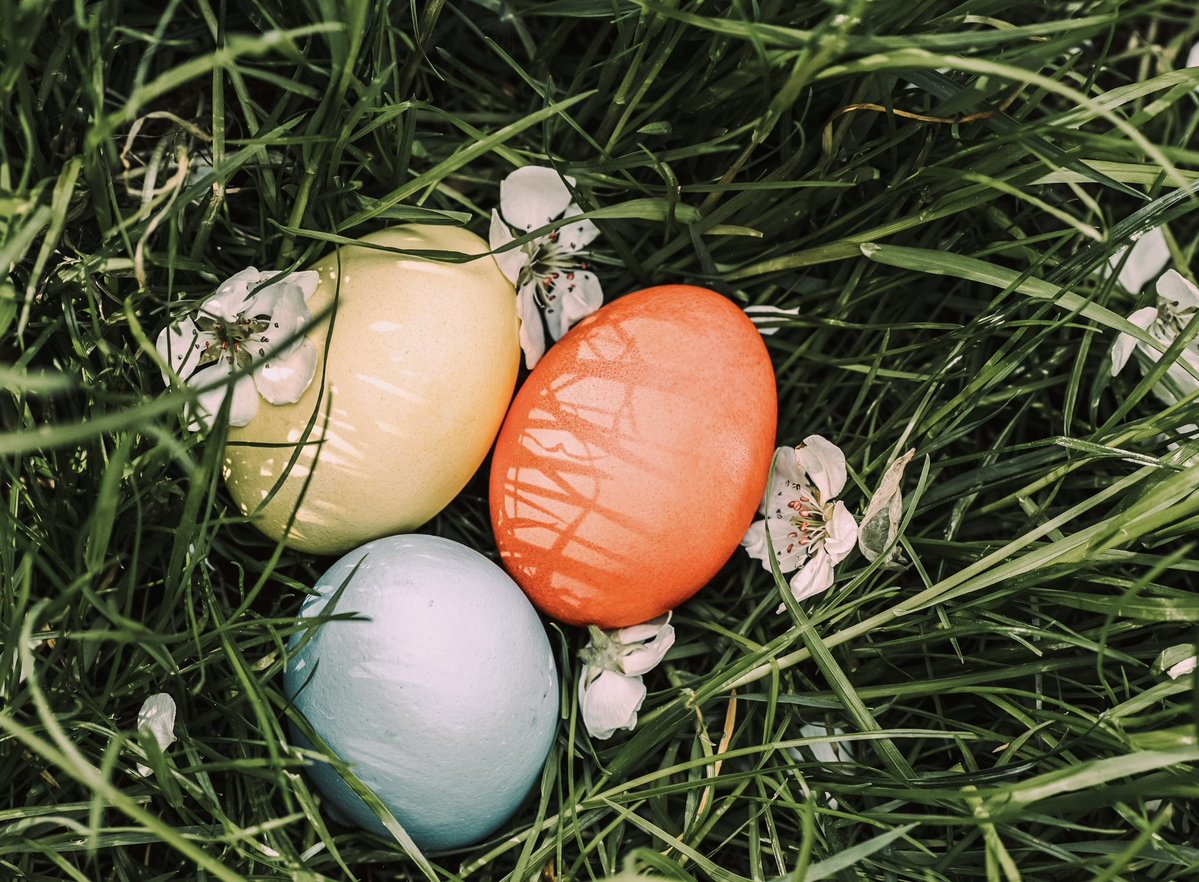 Grande Mosquée de Paris tweet media