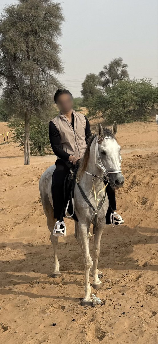 سيف🐎 tweet media