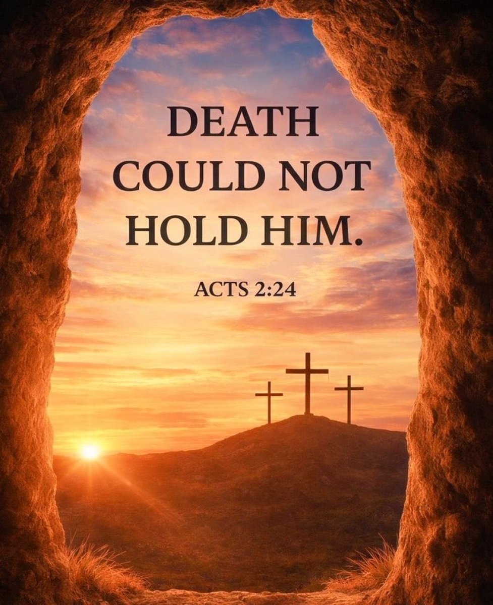 HeavenleMinded's tweet image. Happy Resurrection Sunday! He has risen indeed! 🧡🙌🥳