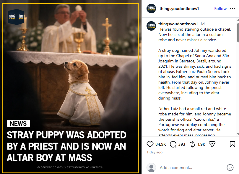 Pintoshi tweet media