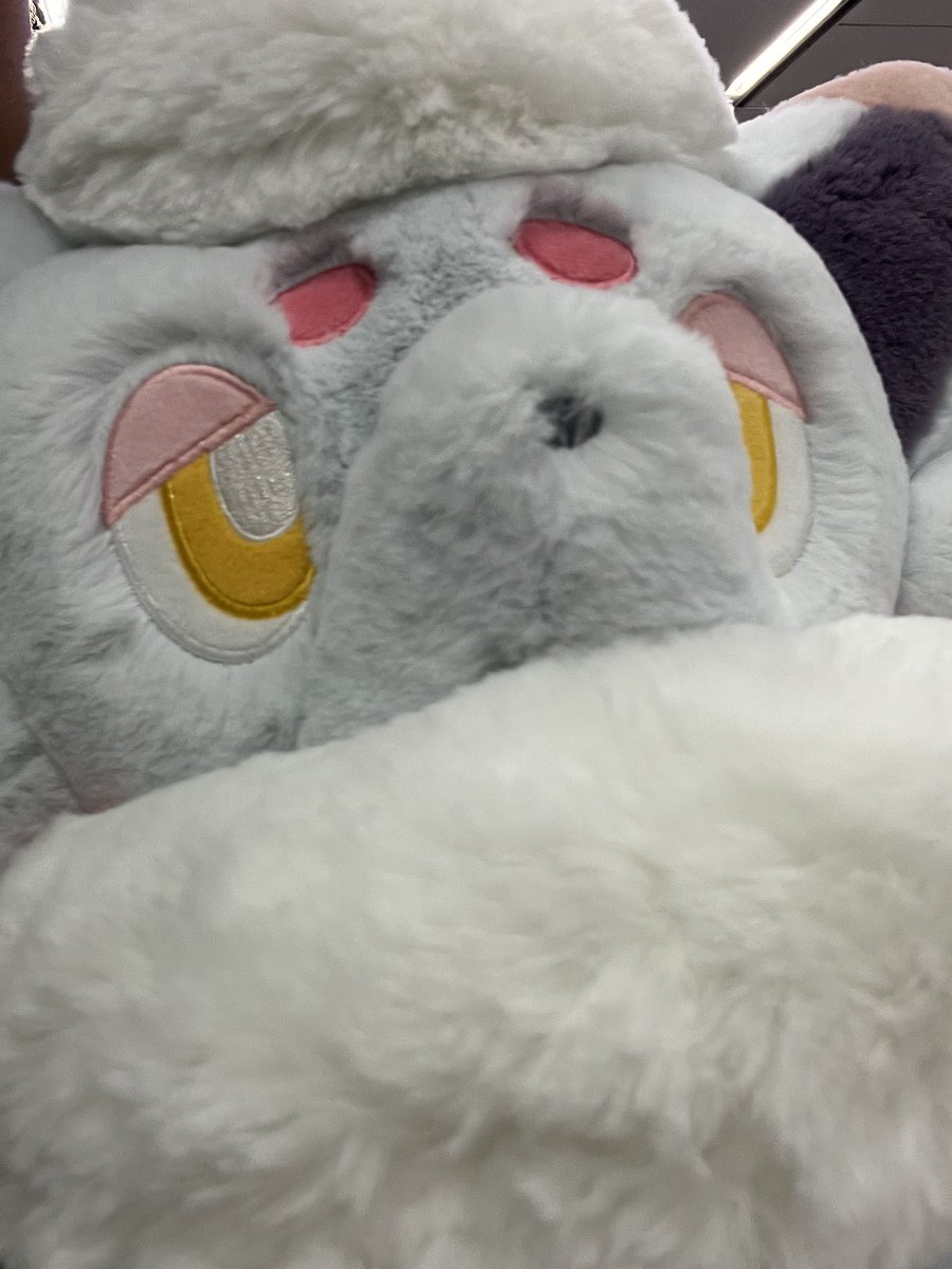 ❽伍沙梛 蒼眞❽【大体21:00から配信中】 tweet media