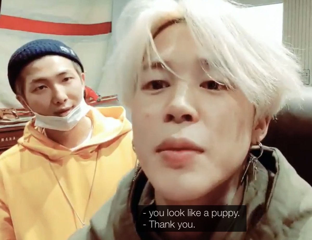 luisa⁷ SEEING BTS! tweet media