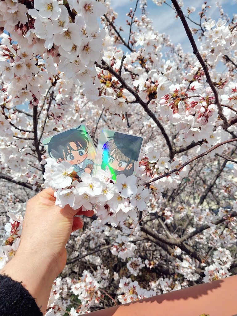 하프ଳ tweet media