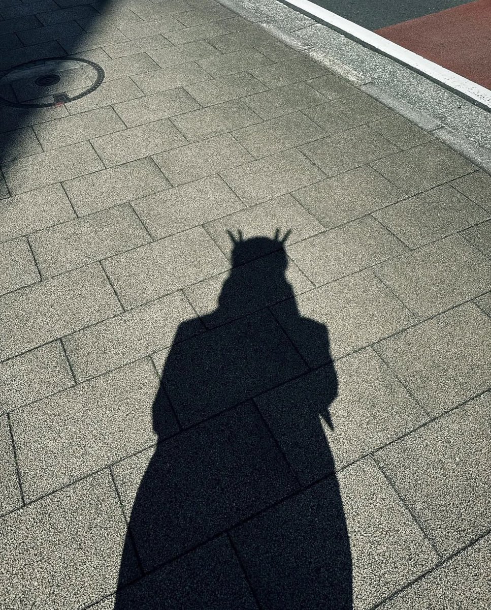 for harulas tweet media