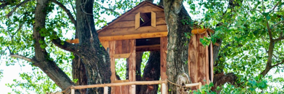 badly_wired's tweet photo. April 5th
On This Day In #JKRowling Tweet Nostalgia - 2025
JKR changed her X /Twitter header to an image of a tree house, providing one of the most intriguing clues for #Strike9, which, a year later, we now have a name for - #SleepTightEvangeline
For me the tree house definitely hints at a theme involving children/childhood, from Enid Blyton's "The Magic Faraway Tree" to Max Brailler's "The Last Kids on Earth, the tree house signifies adventure away from the interference of adults as well as a place of security to retreat to.
In all cultures where trees are part of the landscape, they are 'axis mundi', the link between heaven, earth and the underworld.
As a 'Jungian' perspective has become a focus when analysing the Strike & Ellacott novels - which for me is a rabbit hole with a red herring at the bottom ๐
- it's probably worth pointing out that Jung saw the symbolism of the tree as 'axis mundi' representing an archetype of the collective conciousness, the trunk, branches, leaves and roots the masculine and feminine, light and shadow, conscious and unconscious; exploring and understanding these dualities of the psyche leading to reconciliation of the whole.
My first thoughts about the ending of #TheHallmarkedMan and how STE will explore Robin's 'journey' were that she'll retreat to her Yorkshire roots to examine the conflicting choices she's faced with, confront her past and heal the rift with her Mum.
So the tree represents her need to reconcile who she really is and the tree house a safe place - Masham - to retreat to find out.
Or Michael Ellacott, whilst building a tree house for Annabel Marie, Barnaby and Dirk, falls off a ladder and is brown bread. ๐
๐ท
JKR X Twitter header from 2025
Jung's Tree of Life from The Red Book p135
Ep 2 CoE - BBC/Bronte F&TV