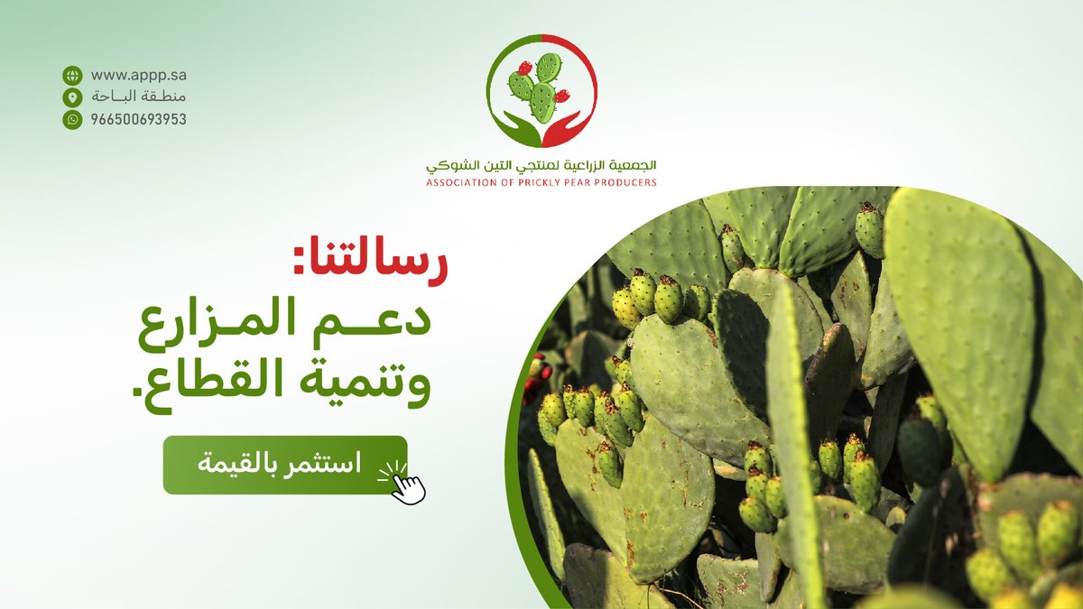 الجمعية الزراعية لمنتجي التين الشوكي tweet media
