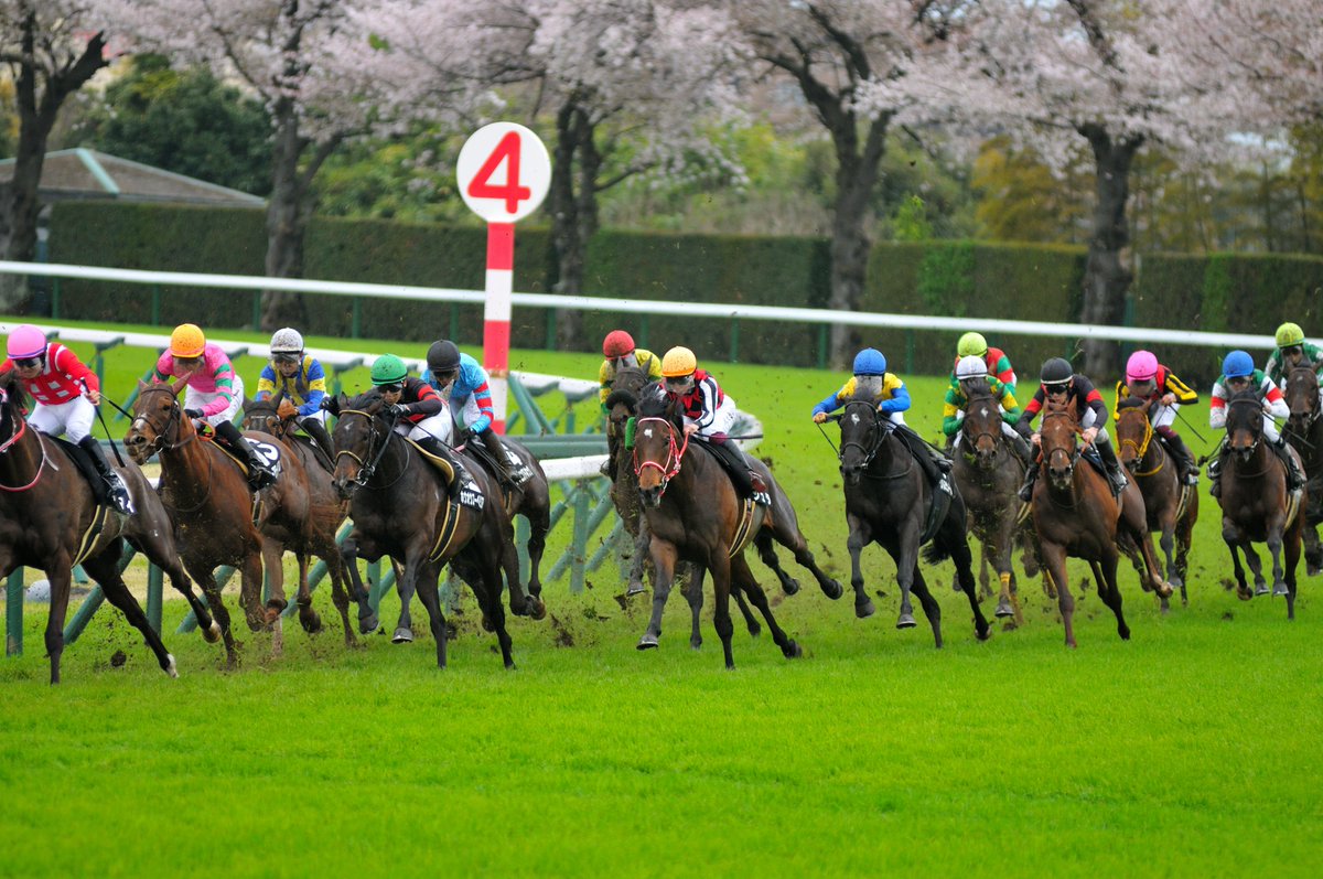 the-allow【放牧】　想定→中山GJ tweet media