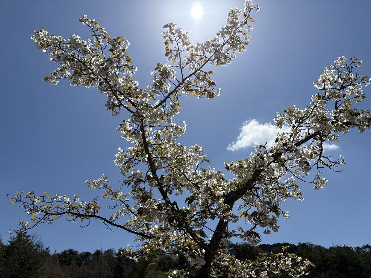 カナカ tweet media