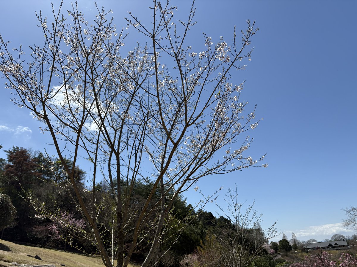 カナカ tweet media