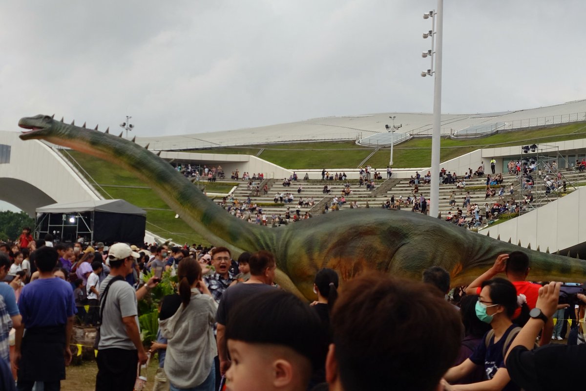 しんげつ🦑 tweet media