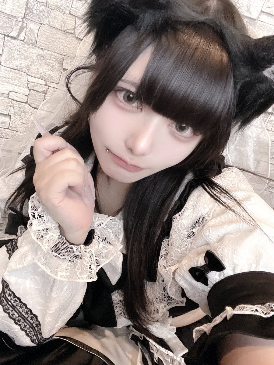 くろまめ🐈‍⬛@Dolly Cats tweet media