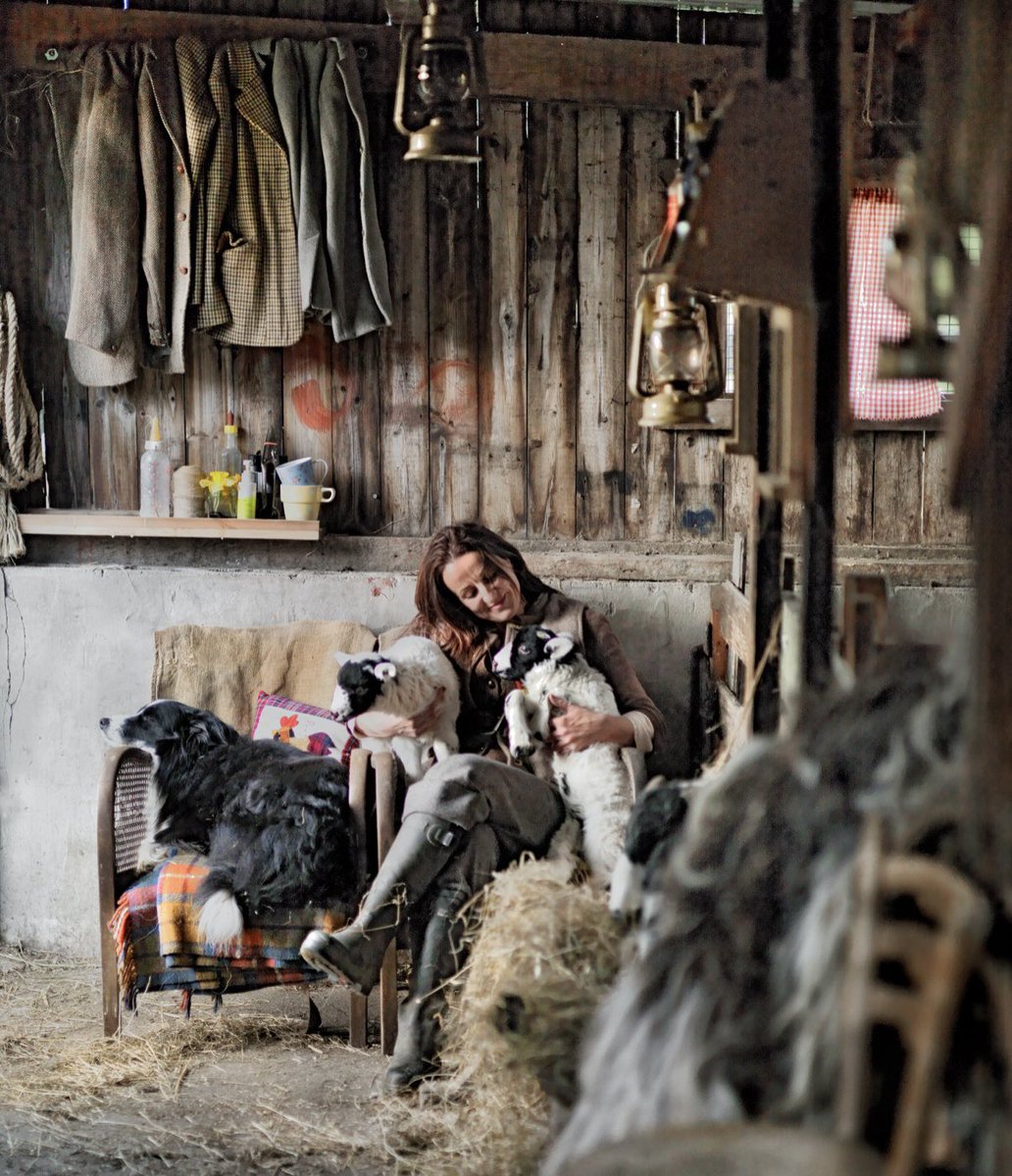 Alison O’Neill ~ Shepherdess tweet media