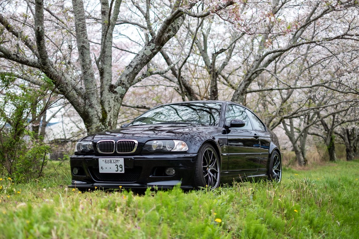 しもんぬ tweet media