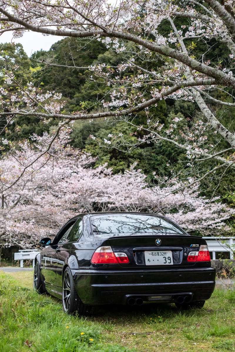 しもんぬ tweet media