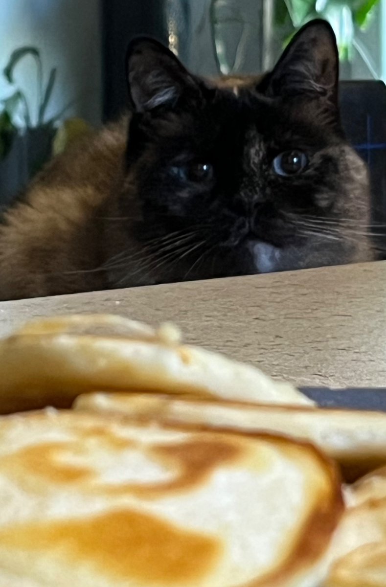 _JustCallMeAce_'s tweet photo. @visacashapprb mmmmmm pancakes https://t.co/YYYh3iMXnj