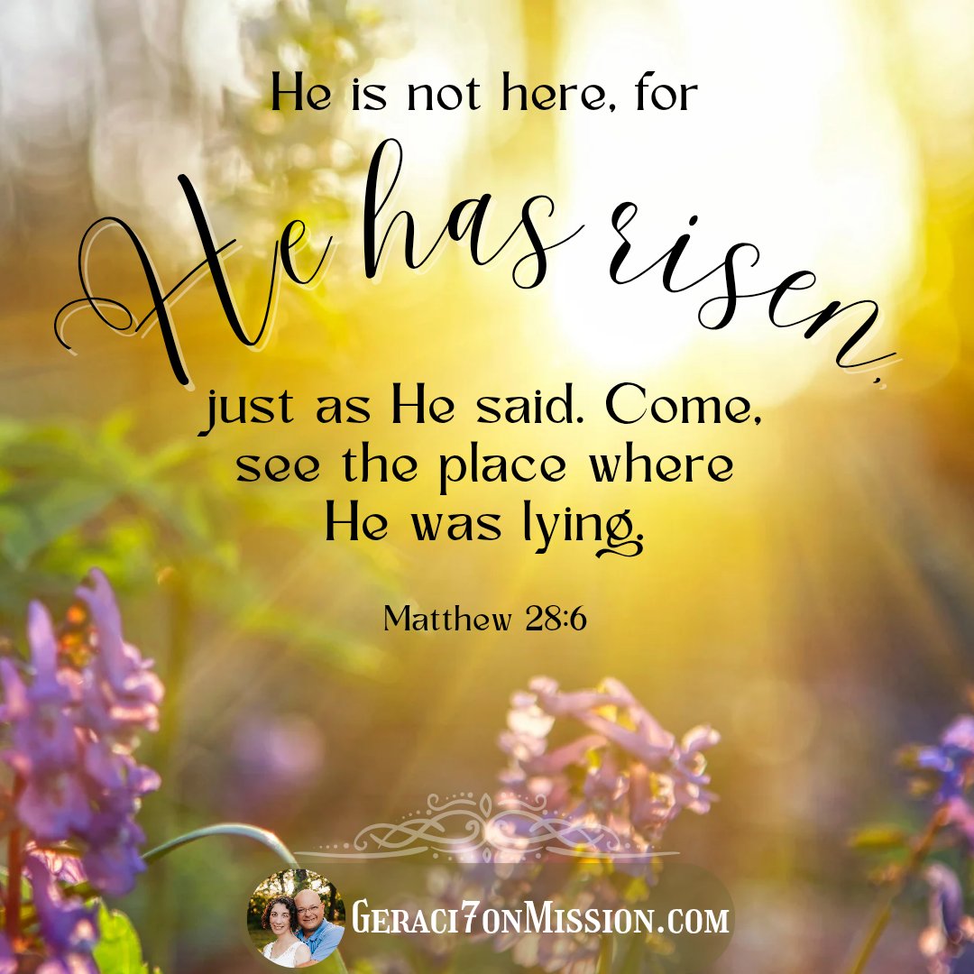 Geraci7onMission tweet media