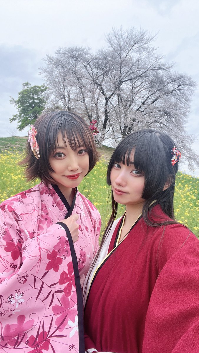 akimoto_rui's tweet image. This is what spring feels like 🌸✨
#sakura #kimono #springvibes