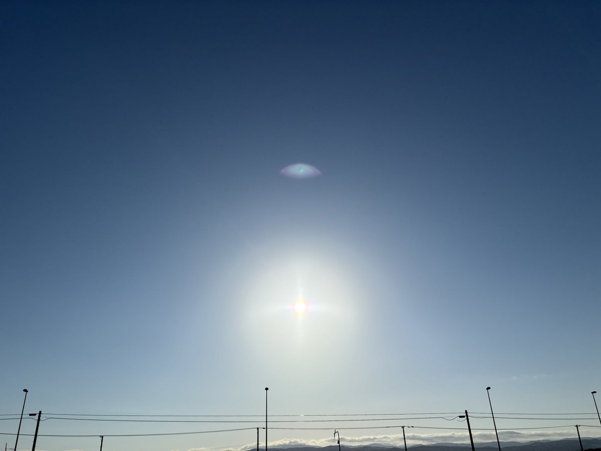 孤高 虎助@孤高の旅漢vtuber tweet media