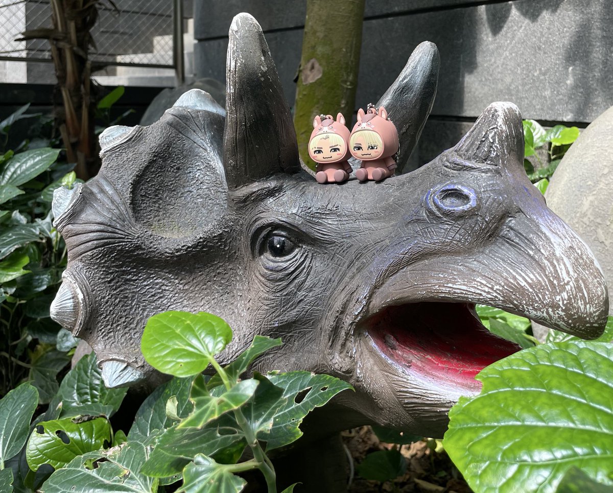 zoe ゾーイ 🦥🐺💭⏳ tweet media