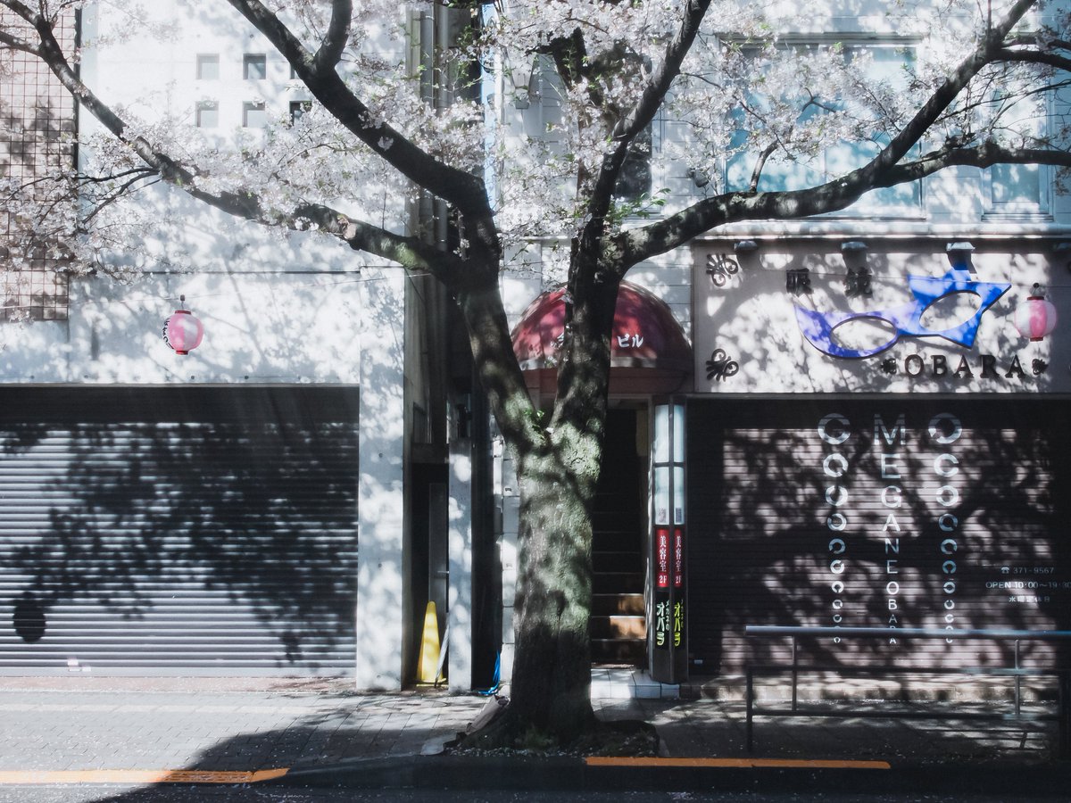 深海 / shinkai tweet media