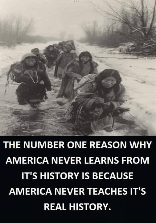 NativeAmerican tweet media