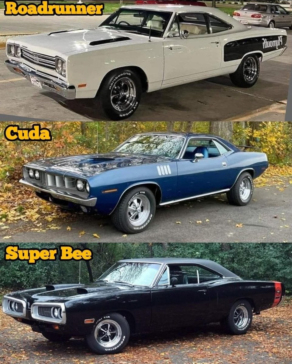 Muscle Cars & Mopars tweet media