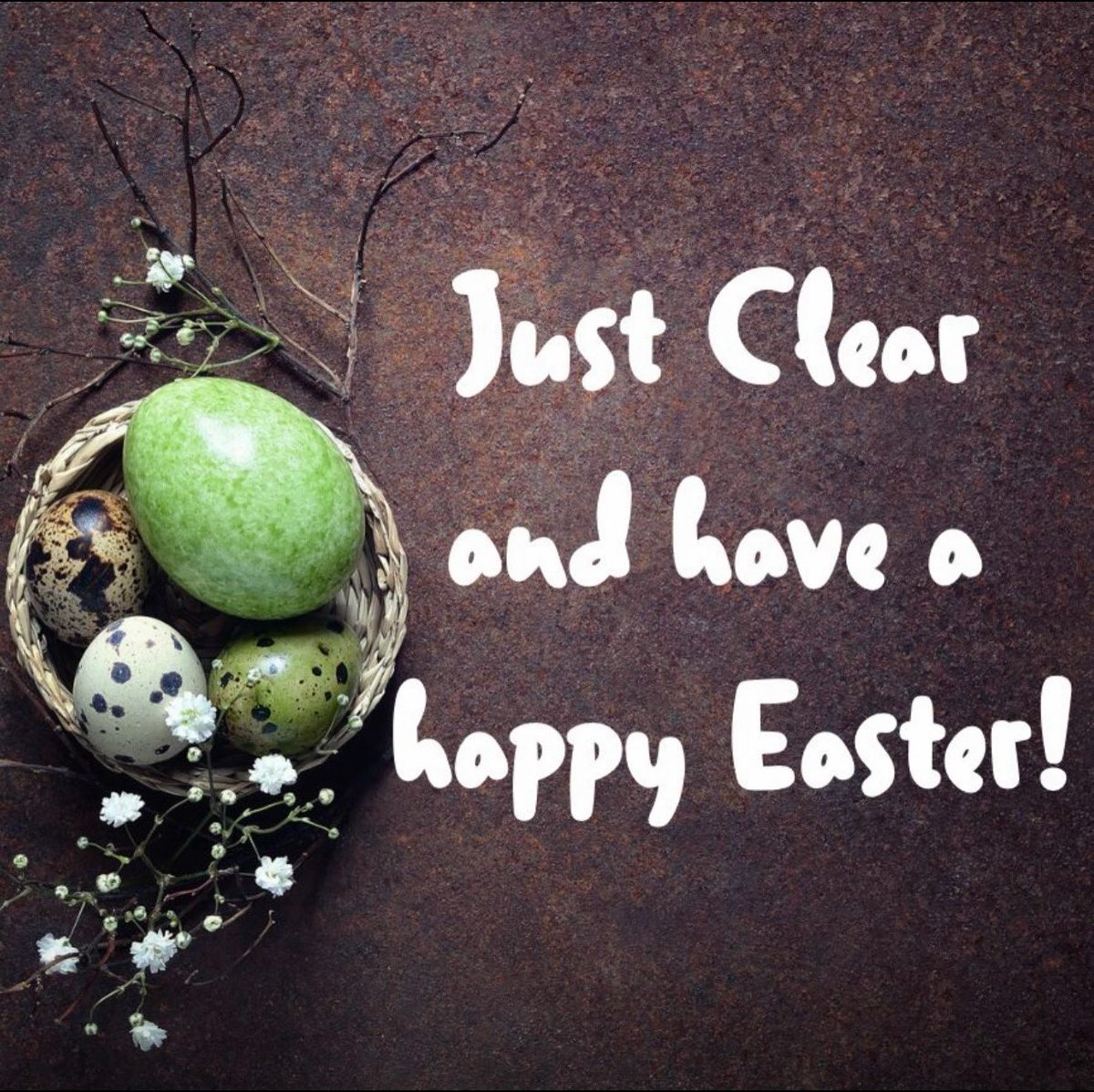 Just Clear ® tweet media