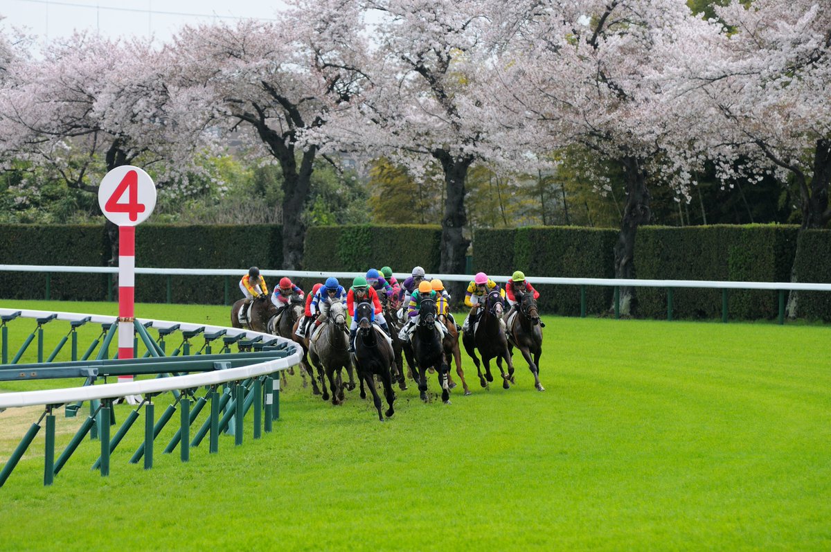 the-allow【放牧】　想定→中山GJ tweet media